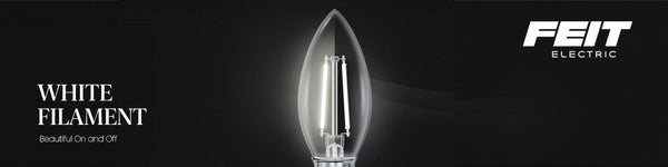 Feit Electric Announces Second Patent Enforcement Action Against Infringing White LED Filaments