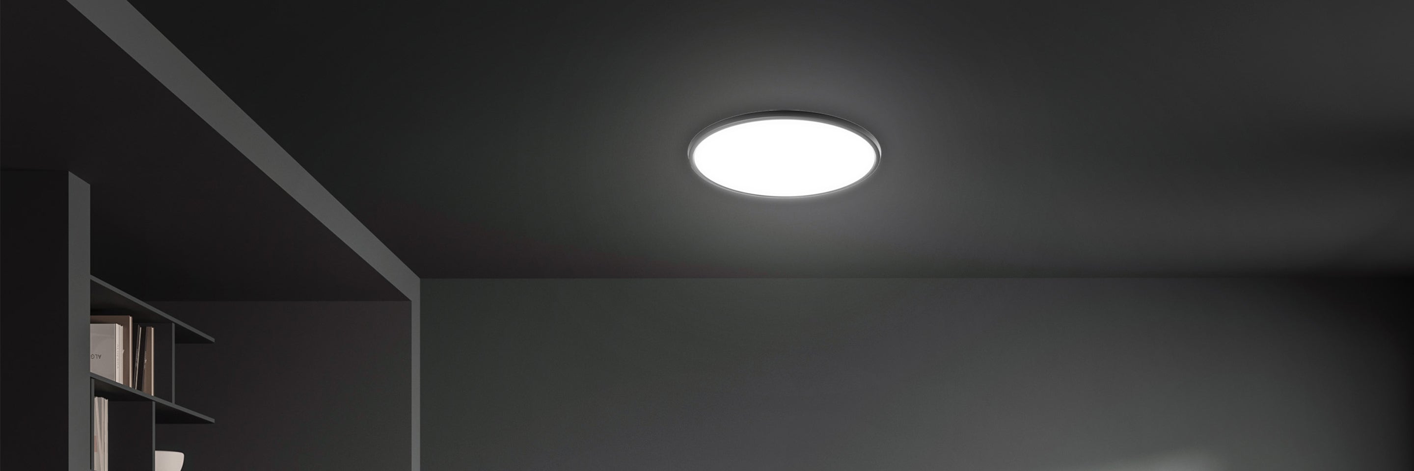 Ceiling Light Fixture - Feit Electric