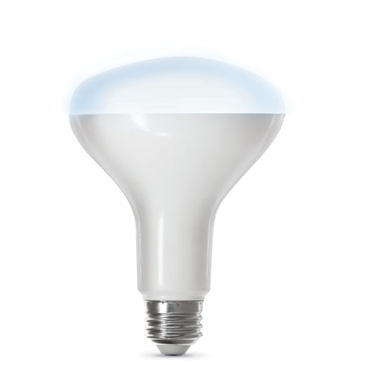 7.2W (65W Replacement) Daylight (5000K) 26 Base BR30 Alexa Google Smart Wi-Fi Bulb