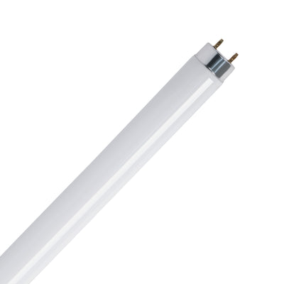 18 in. 15W Cool White (4100K) G13 Base (T8 Replacement) Fluorescent Linear Light Tube