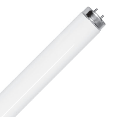 4 ft. 32W Warm White (3000K) G13 Base (T8 Replacement) Fluorescent Linear Light Tube (2-Pack)