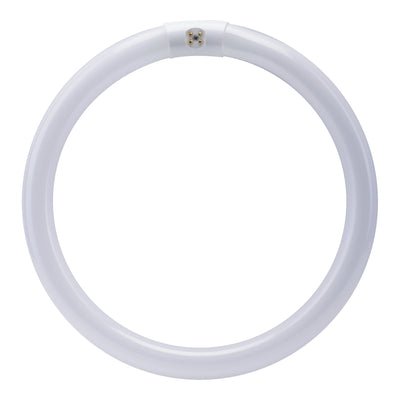 12 in. 32W Cool White (4100K) 4-Pin (T9 Replacement) Fluorescent Circular Light Tube
