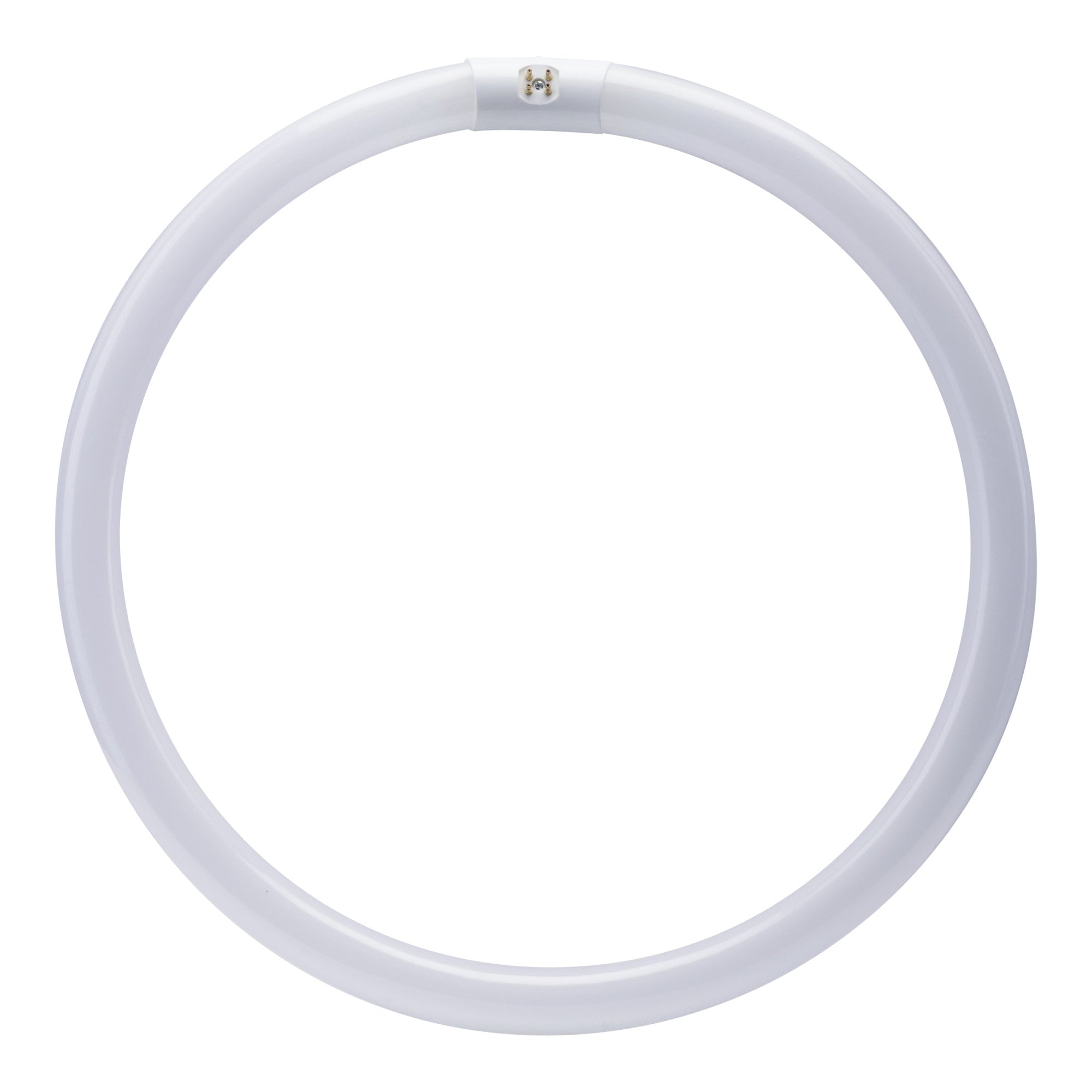 【新品未開封】藤井風 HEHN Circle T White Sサイズ 16 in. 40W Cool White (4100K) 4-Pin (T9 Replacement) Fluorescent