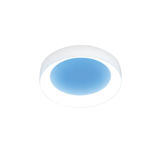 Vista 8 in. Round Canless LED Skylight Fixture