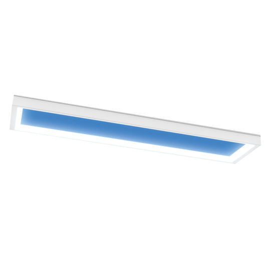 Vista 1 ft. x 4 ft. Flat Panel LED Skylight Fixture