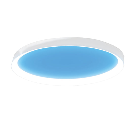 Vista 24 in. Oval Flush Mount LED Skylight Fixture