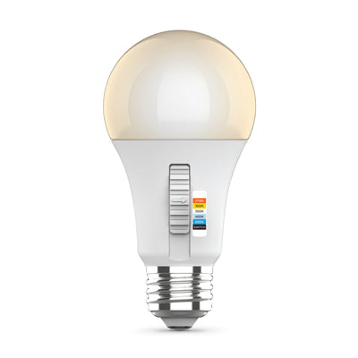 8.8W (60W Replacement) Adjustable White Dimmable A19 Light Bulb with Switch Mode (2-Pack)