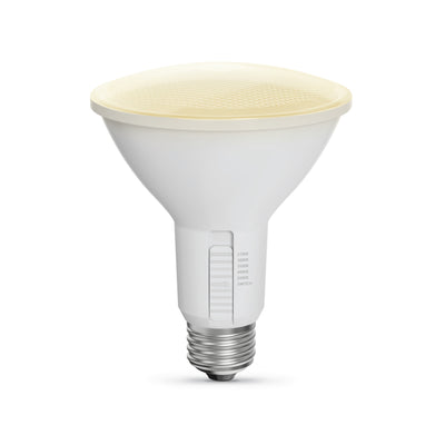 8.3W (75W Replacement) Adjustable White Dimmable PAR30 LED Bulb with Switch Mode (2-Pack)