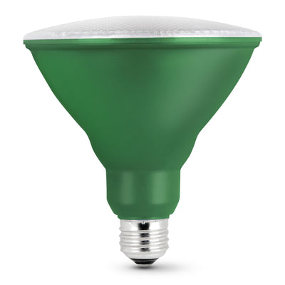 Green PAR38 Non-Dimmable LED Reflector Light Bulb