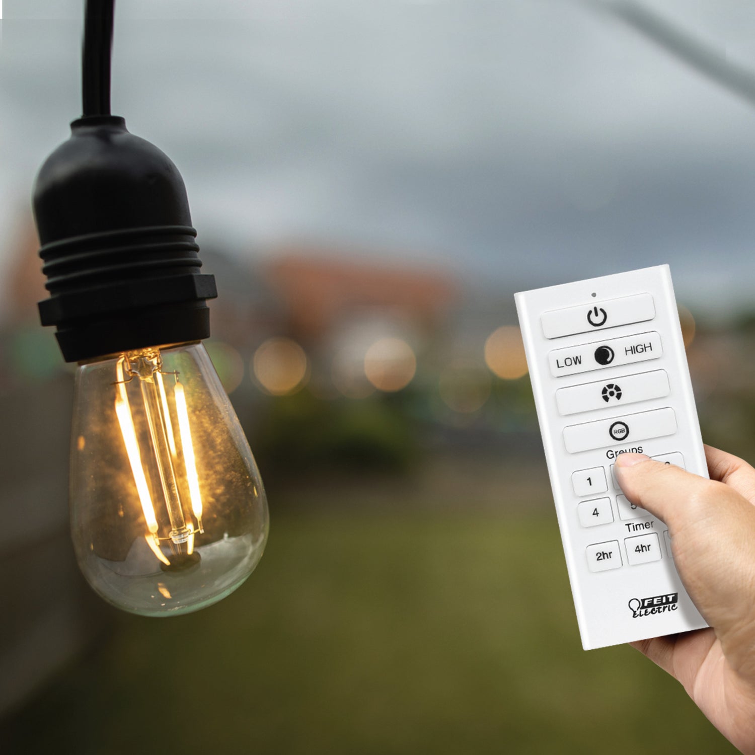 OneSync Landscape Handheld Remote Control + Outdoor Plug