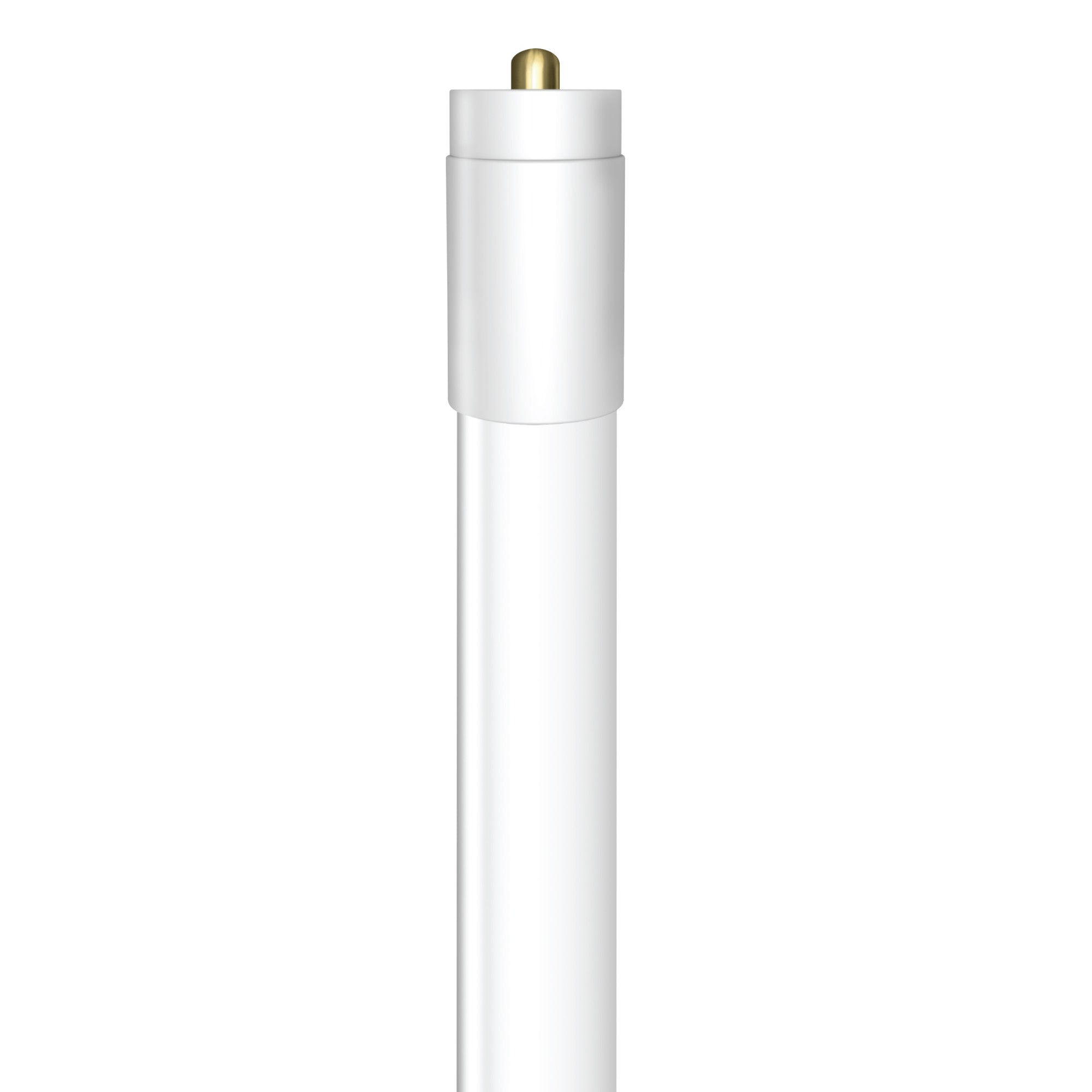 8 ft. 40W (59W Replacement) Cool White (4000K) FA8 Base Direct