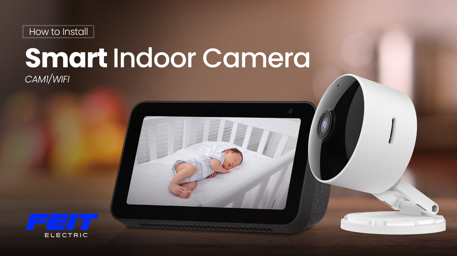 feit electric smart indoor camera