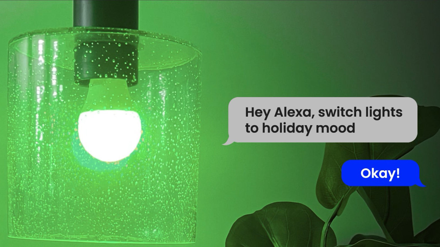 Feit Electric
