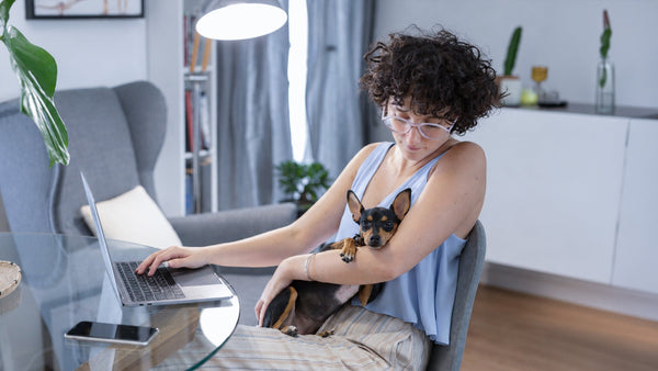 Lighting for Focus and Productivity: The Science-Backed Guide