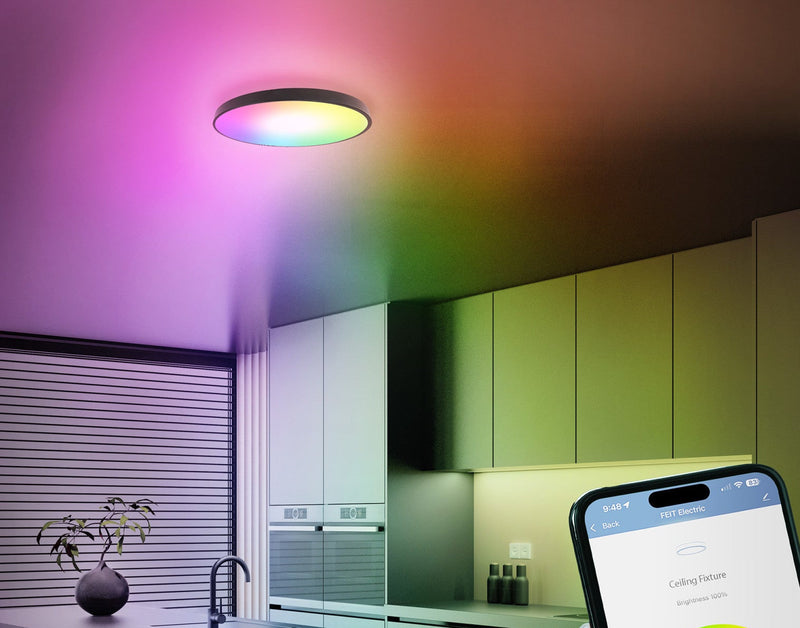 Smart Ceiling Lights