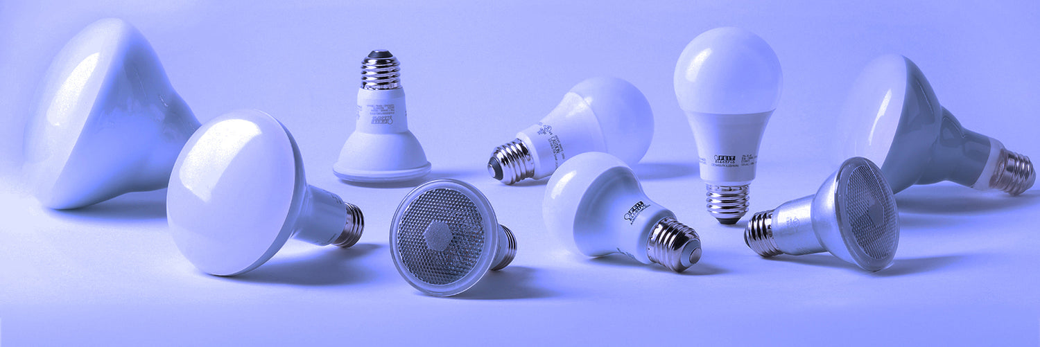 All Light Bulbs