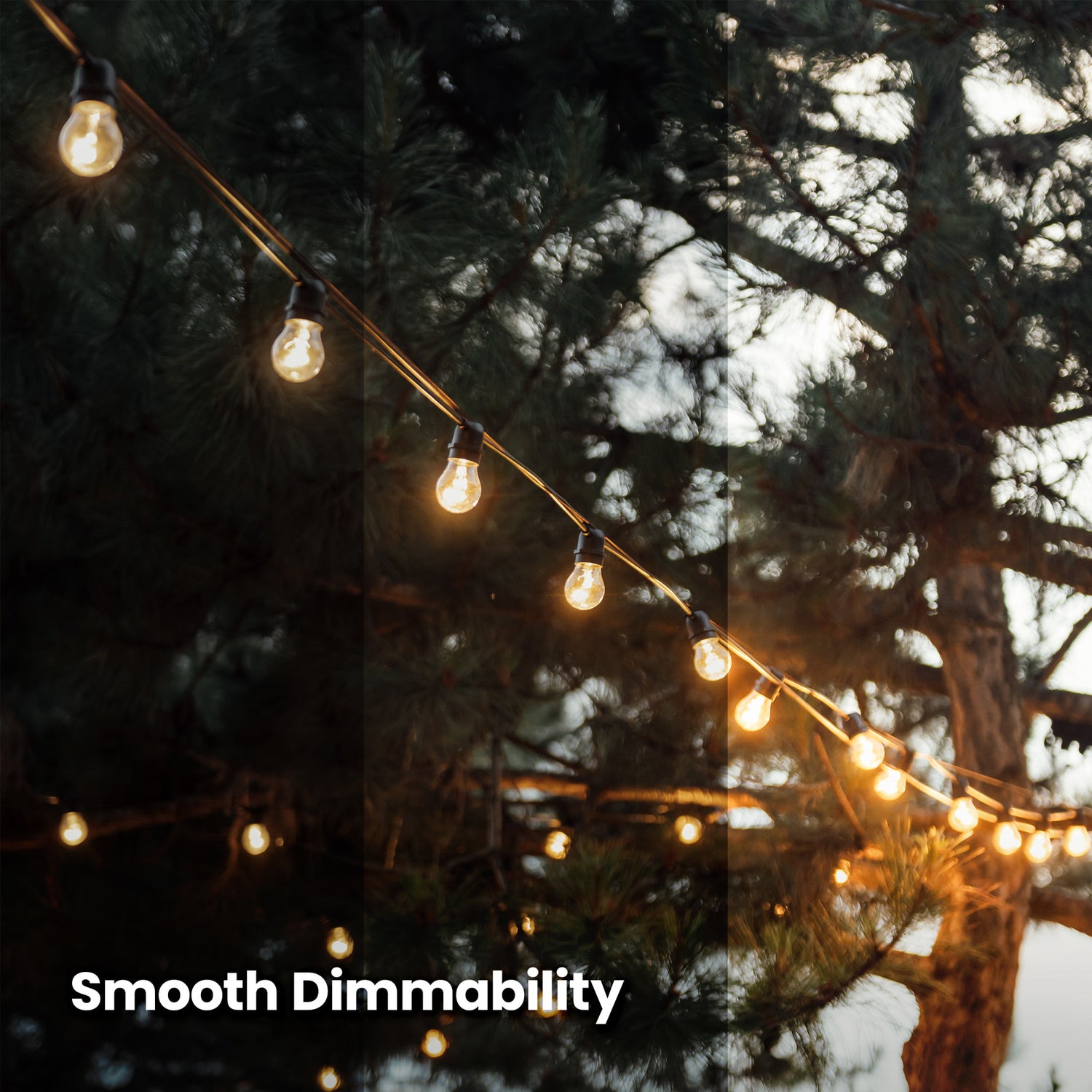 11W Soft White (2700K) E26 Base S14 Base Clear Dimmable Incandescent String Light Replacement Bulb (4-Pack)