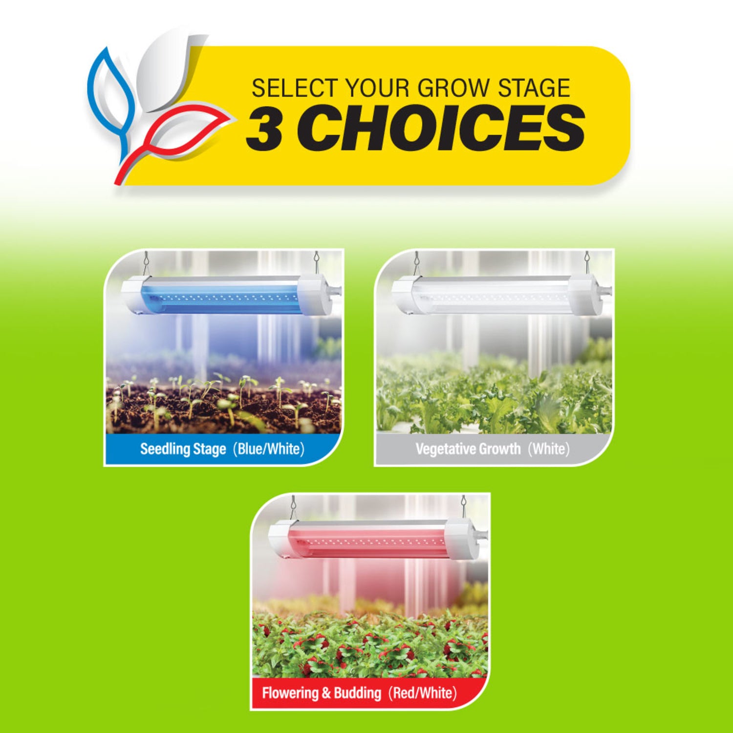 12 in. 12W Full Spectrum LED Grow Light with Remote Control
