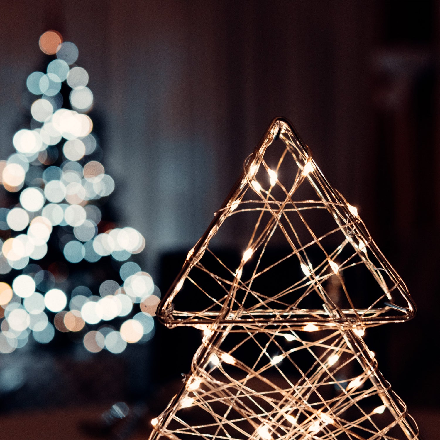 10 ft. Warm White (3000K) USB & Battery Copper Wire Fairy String Light