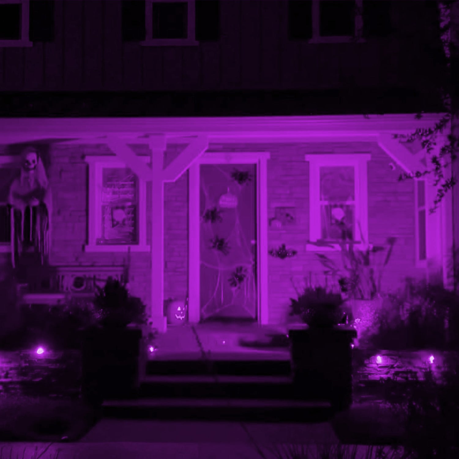 Clear Glass Purple A19 Dimmable LED Filament Light Bulb