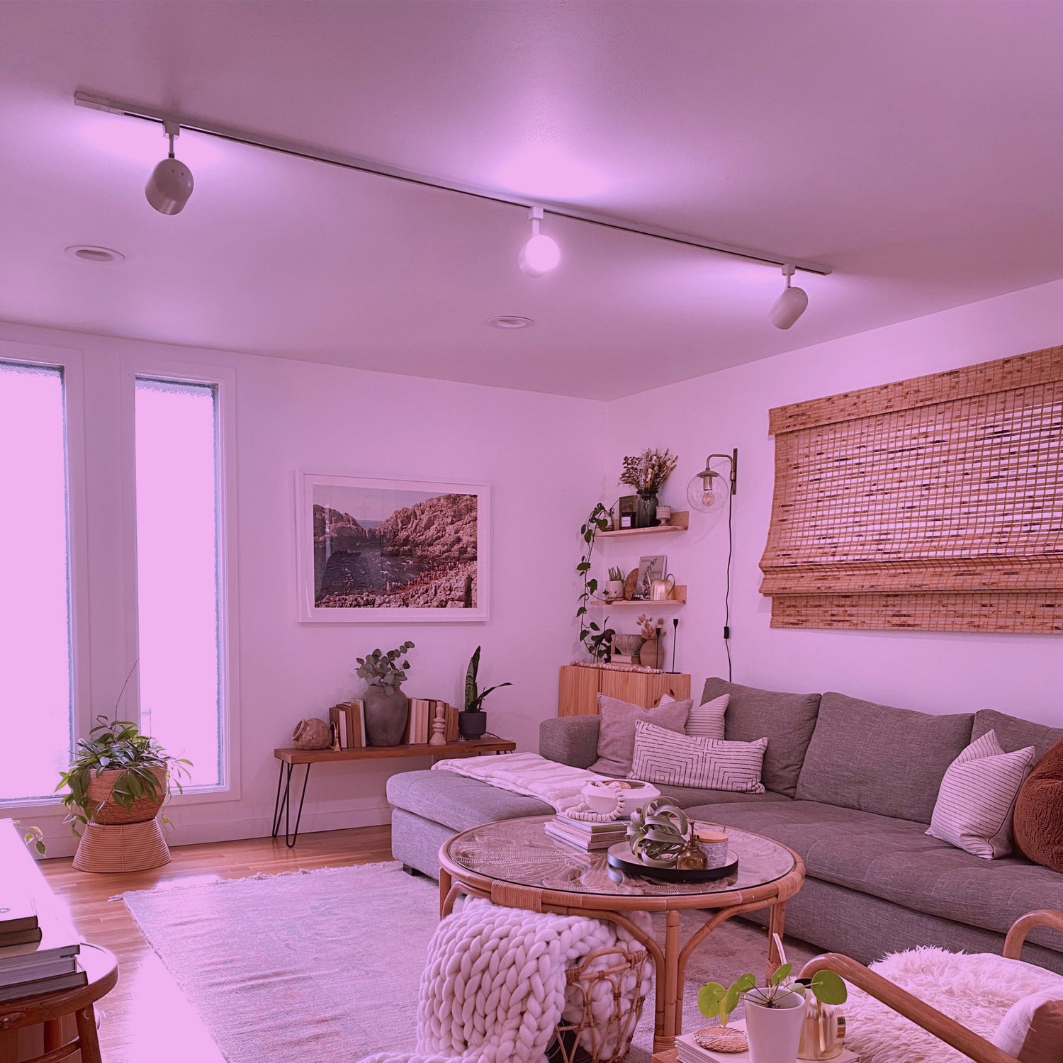 11.1W (90W Replacement) Color Changing E26 Base PAR38 Dimmable Alexa Google Smart LED Light Bulb