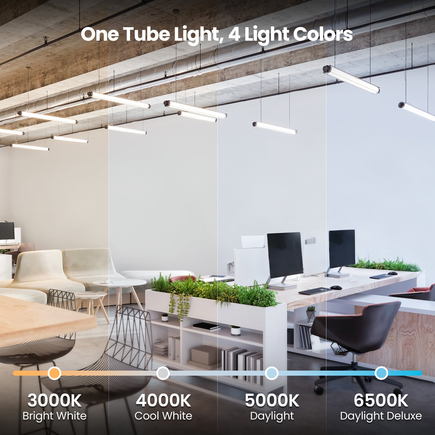 21 in. 12W Selectable White G5 Base (T5 Replacement) Ballast Bypass (Type B) LED Linear Tube