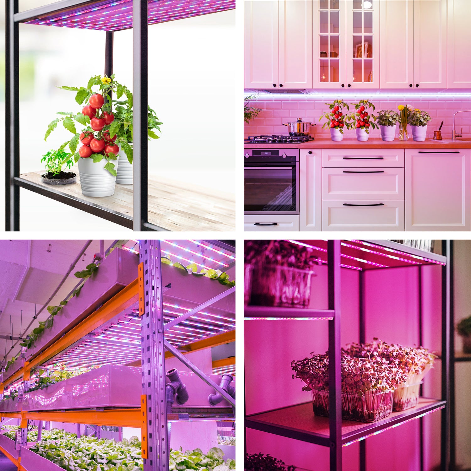 8 ft. 11W Selectable Spectrum LED Strip Light Grow Lights