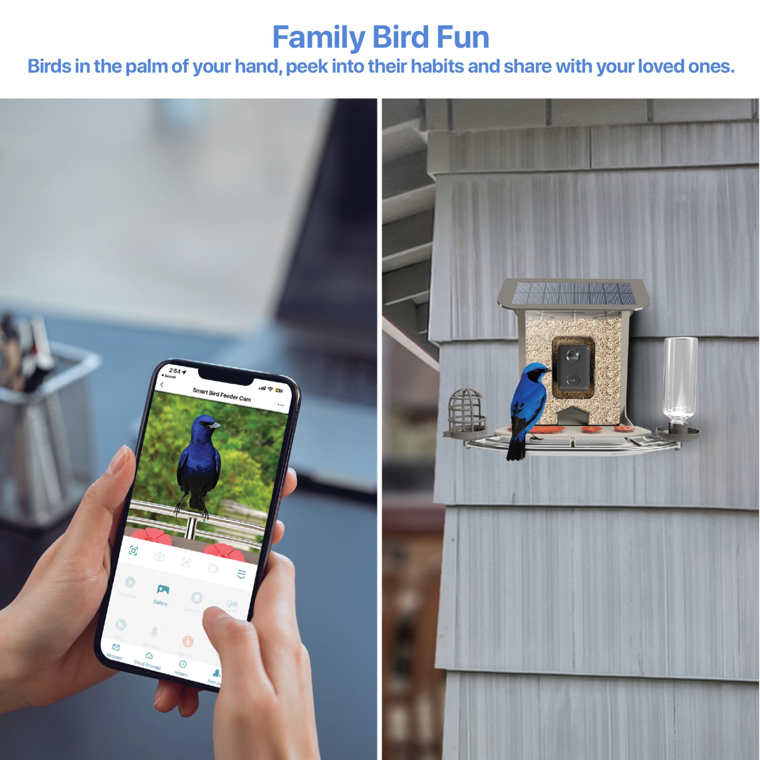 2.5L Smart Solar Camera Bird Feeder