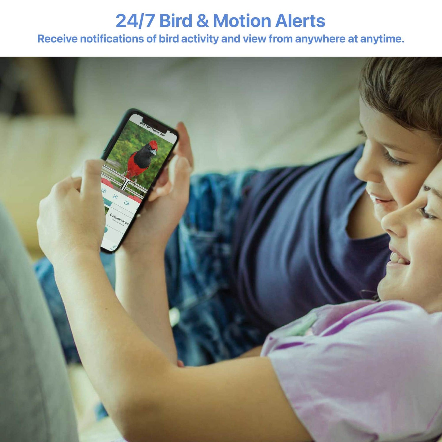 2.5L Smart Solar Camera Bird Feeder