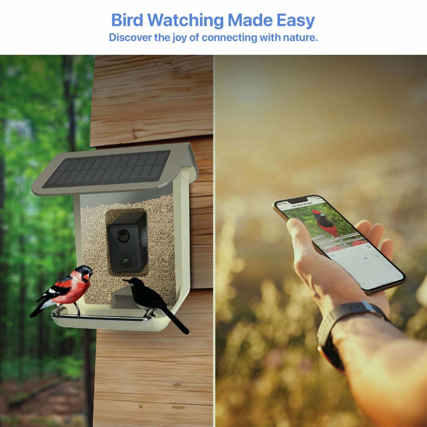 2.5L Smart Solar Camera Bird Feeder