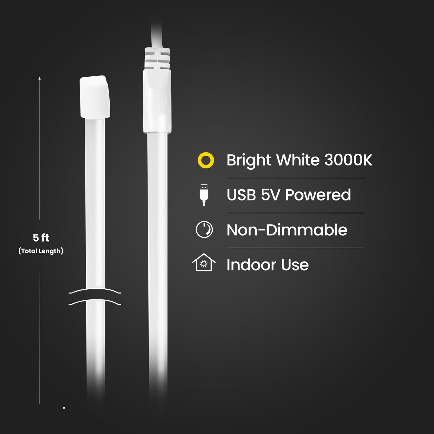 5 ft. Indoor USB-Powered White Neon Flex Light
