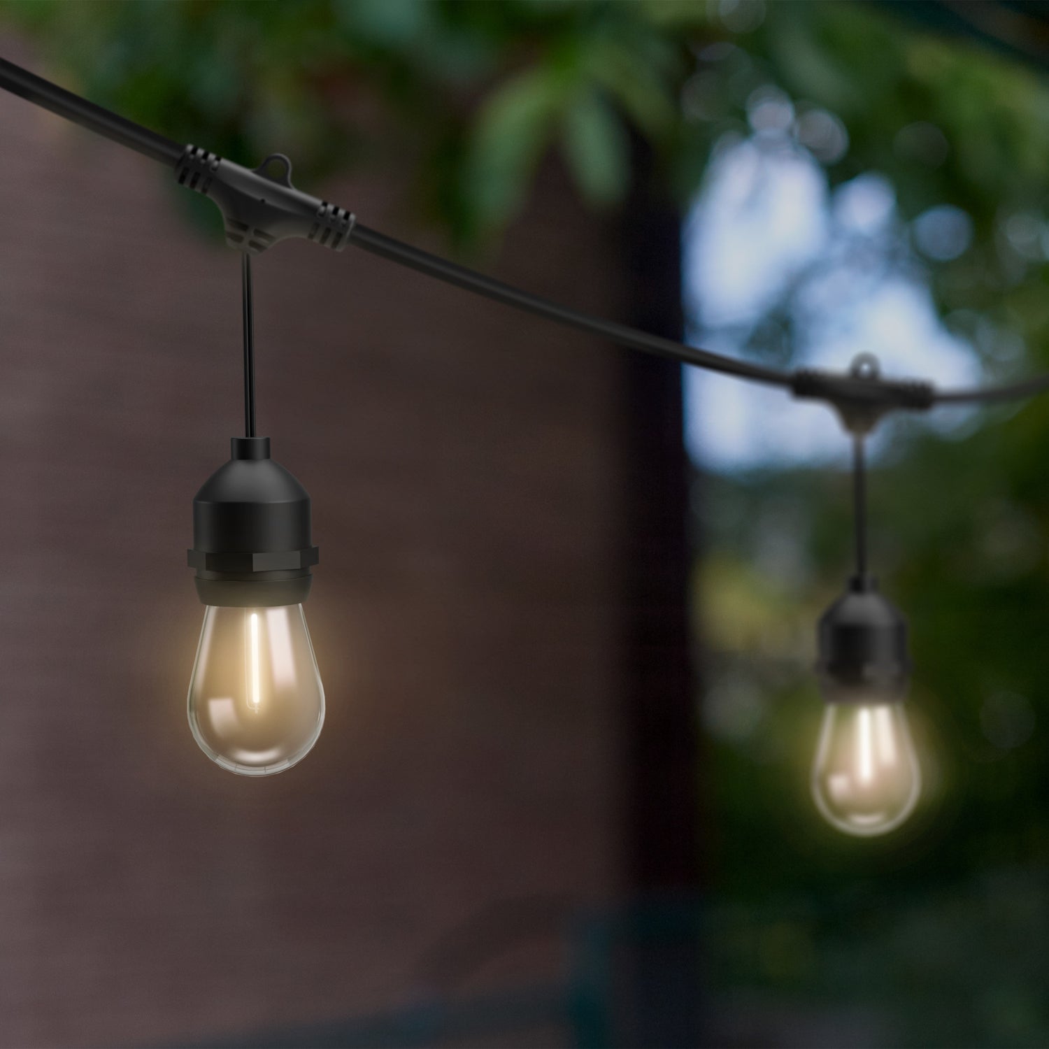 24 ft. Color Changing Filament LED String Light with Remote