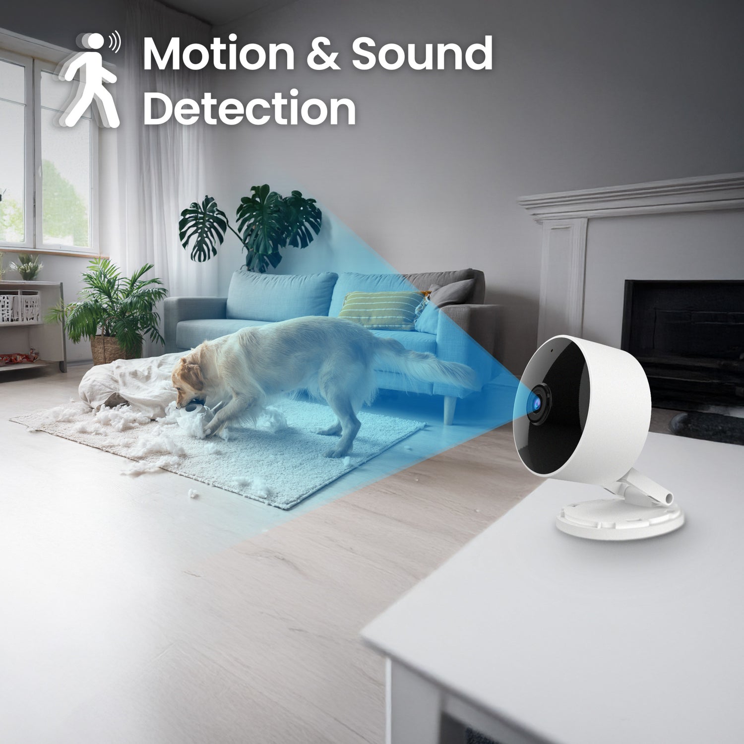 Indoor Smart AI Camera