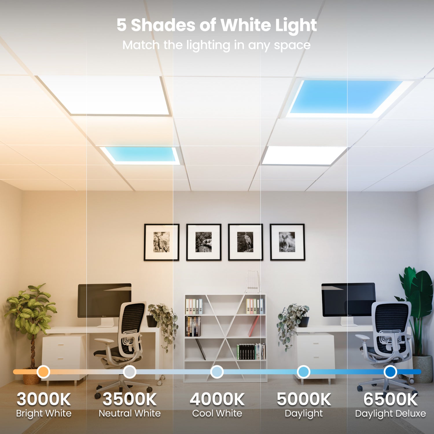 Vista 2 ft. x 2 ft. Troffer LED Skylight Drop Ceiling Light Fixture