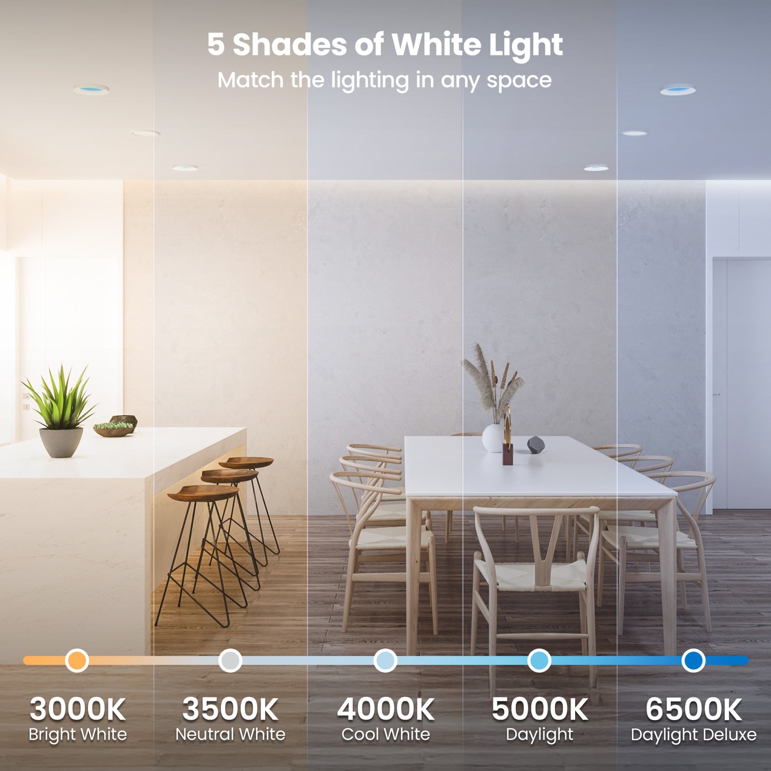 Vista 8 in. Round Canless LED Skylight Fixture