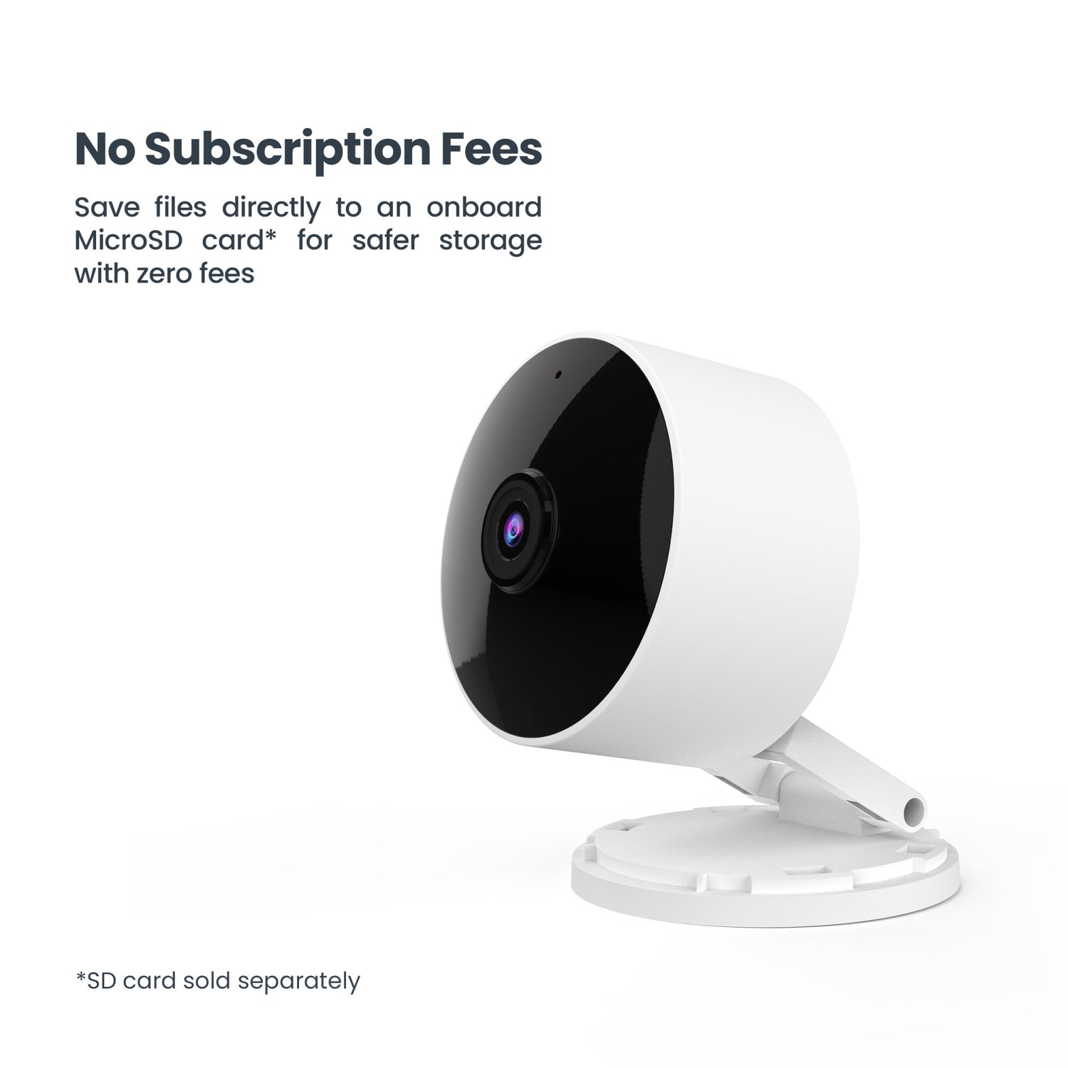 Indoor Smart AI Camera