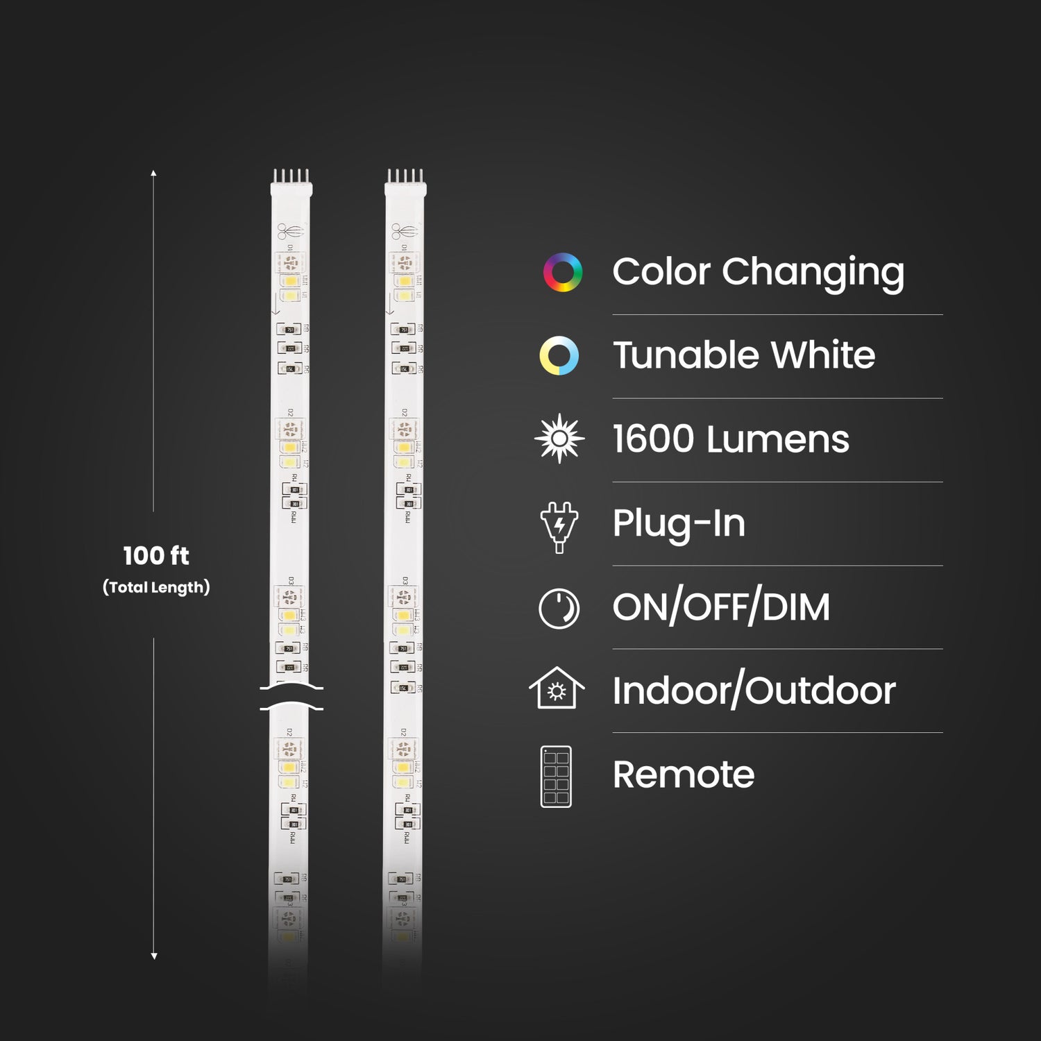 100 ft. LED Color Chasing and Tunable White Tape Light with Remote