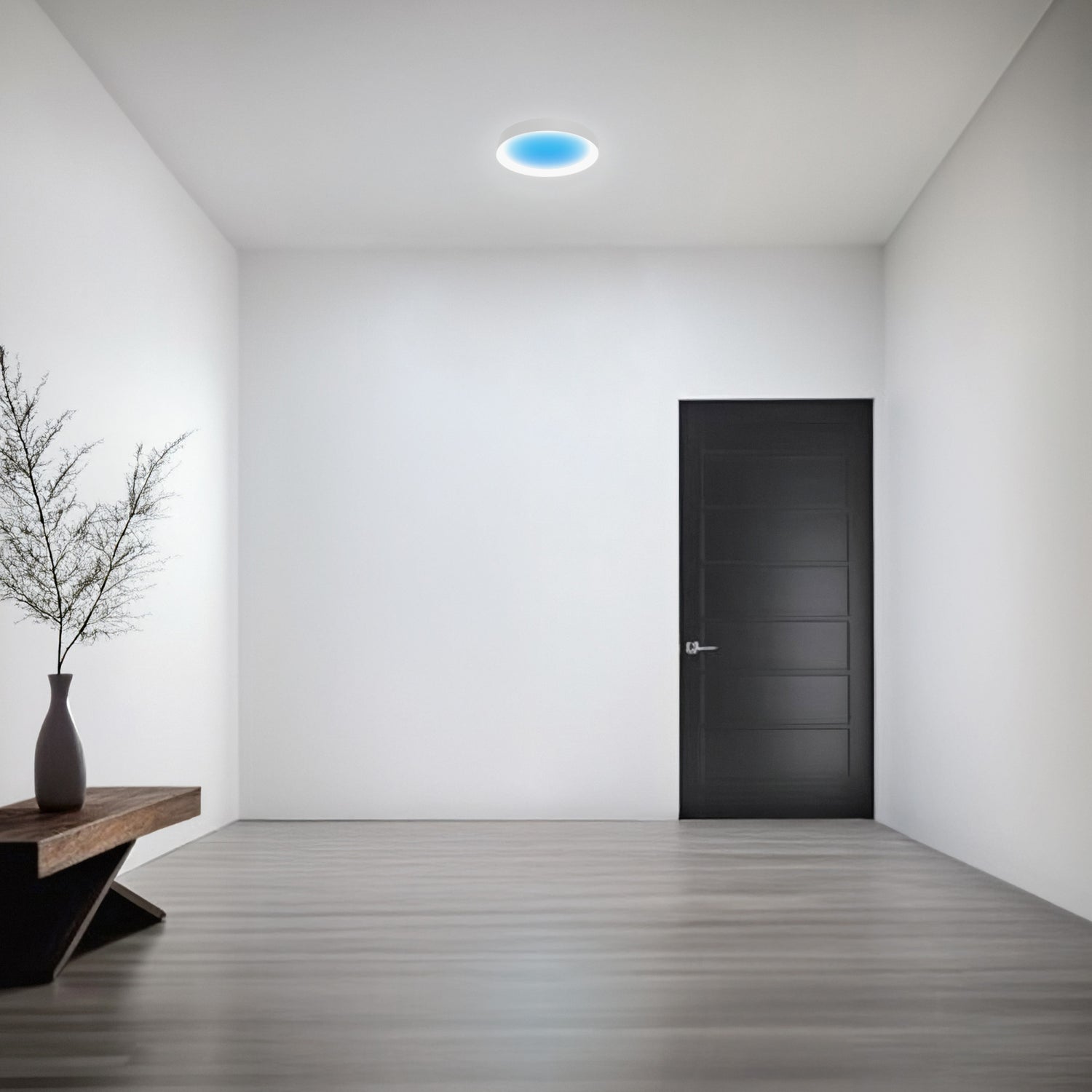 Vista 15 in. Round Flush Mount LED Skylight Fixture