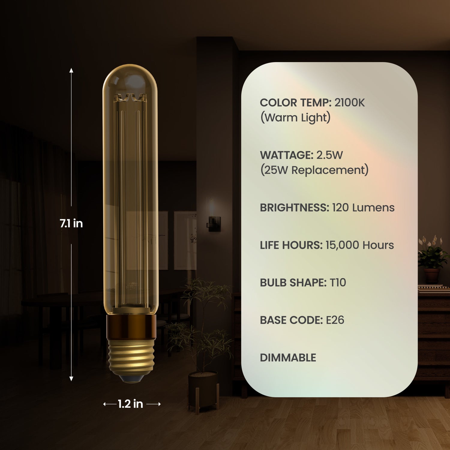 2.5W T10 E26 Dimmable Vintage Acrylic LED Bulb, Warm Light