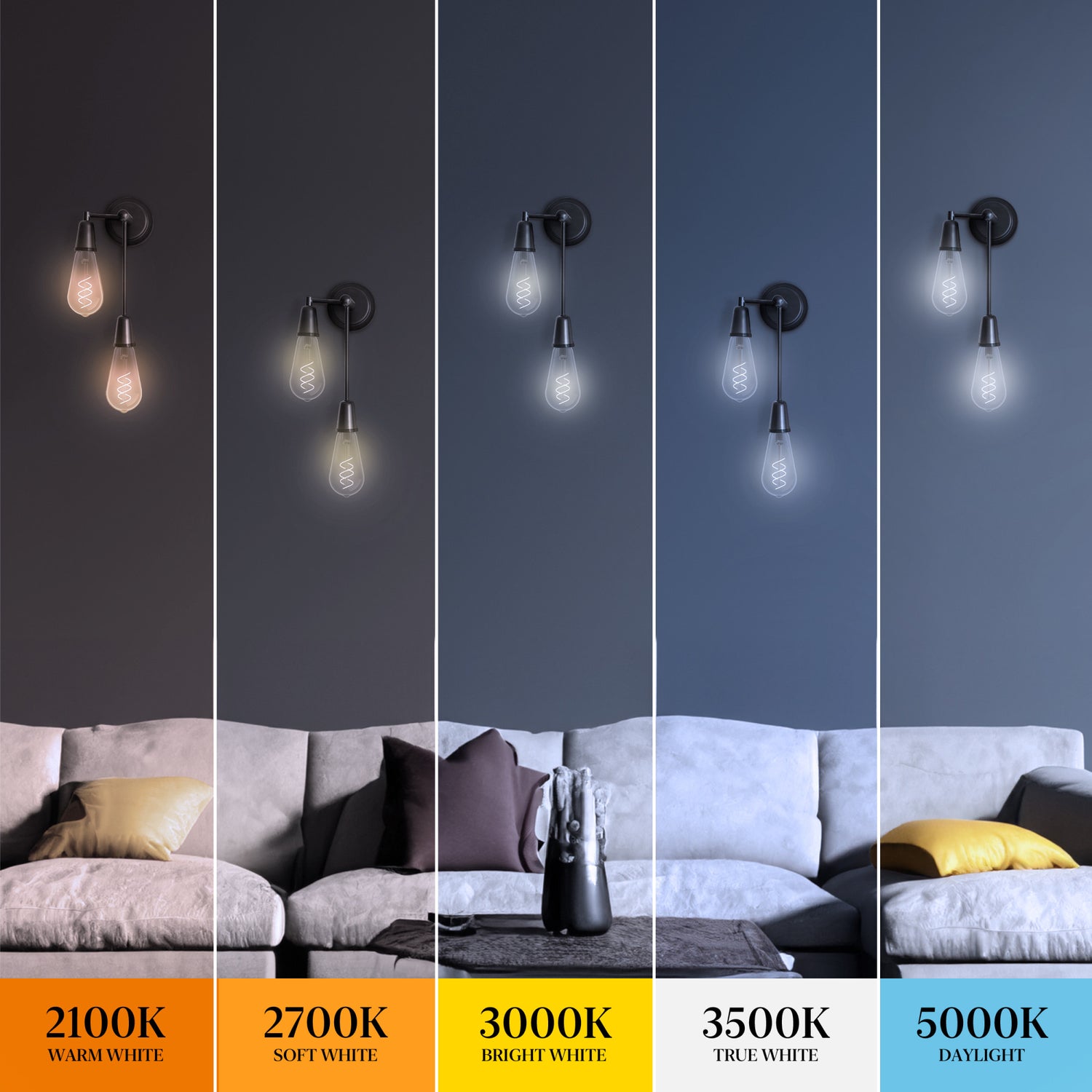 5.5W (40W Equivalent) Daylight (5000K) ST19 Shape (E26 Base) LED Designer Spiral White Filament Bulb