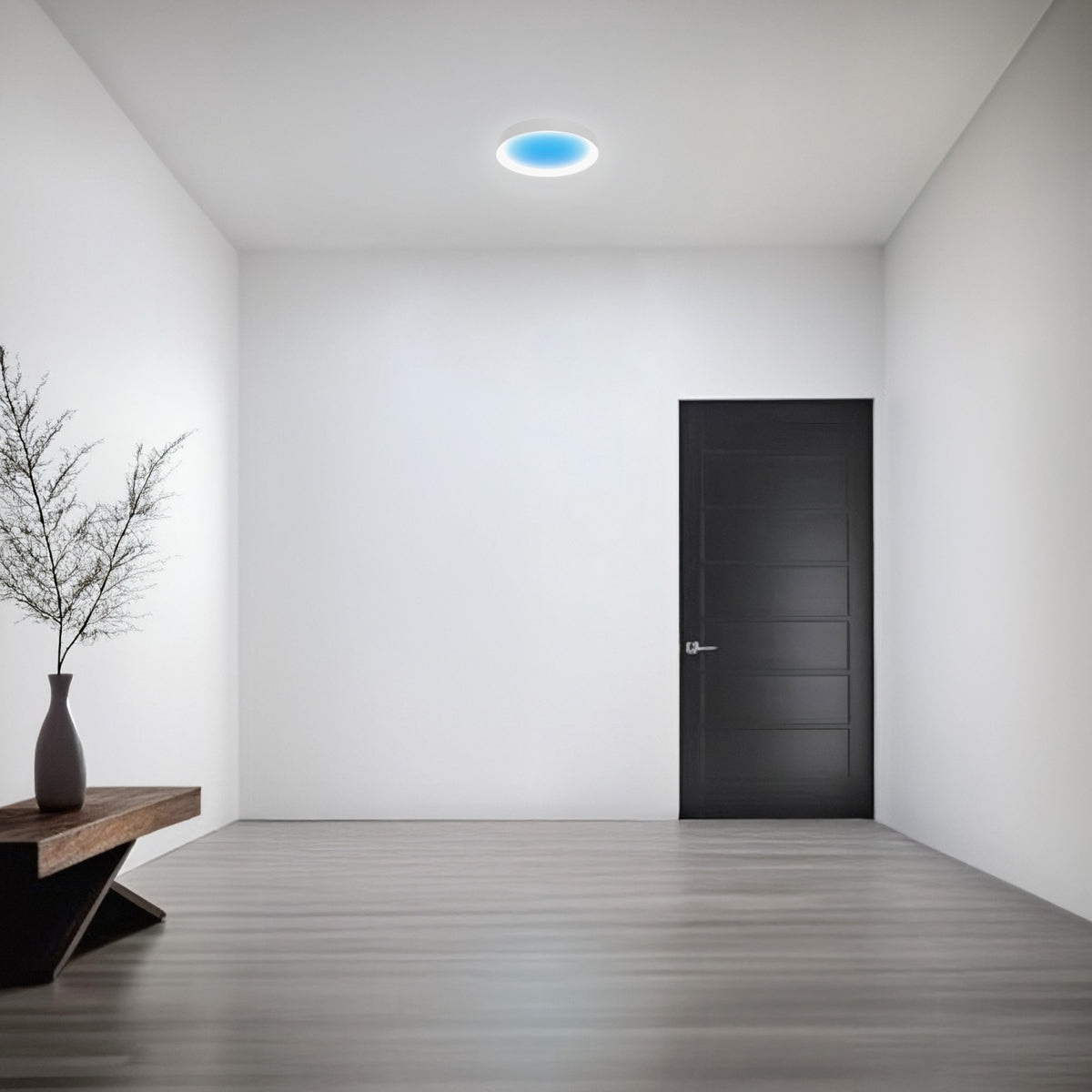 Vista 15 in. Round Flush Mount LED Skylight Fixture