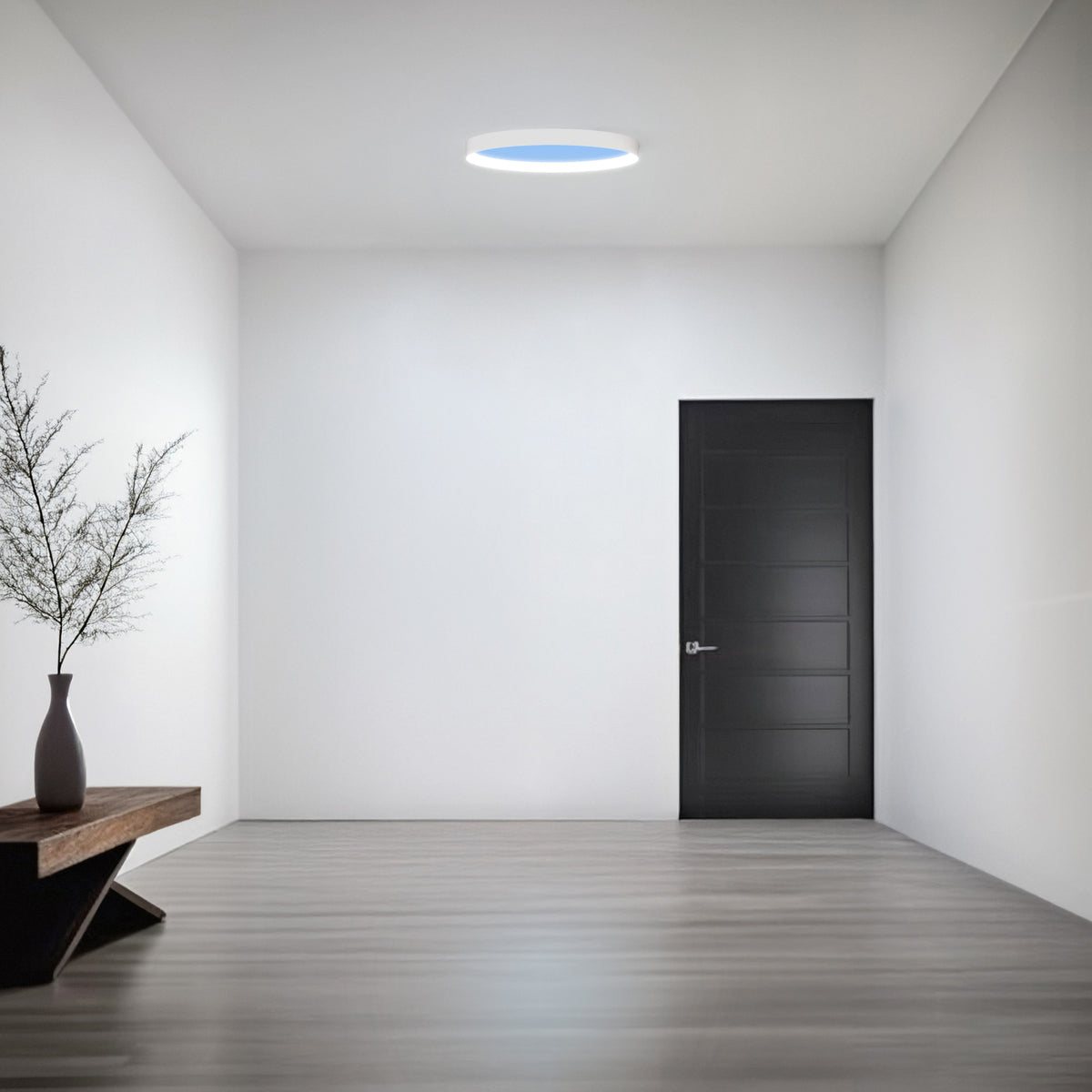 Vista 24 in. Oval Flush Mount LED Skylight Fixture