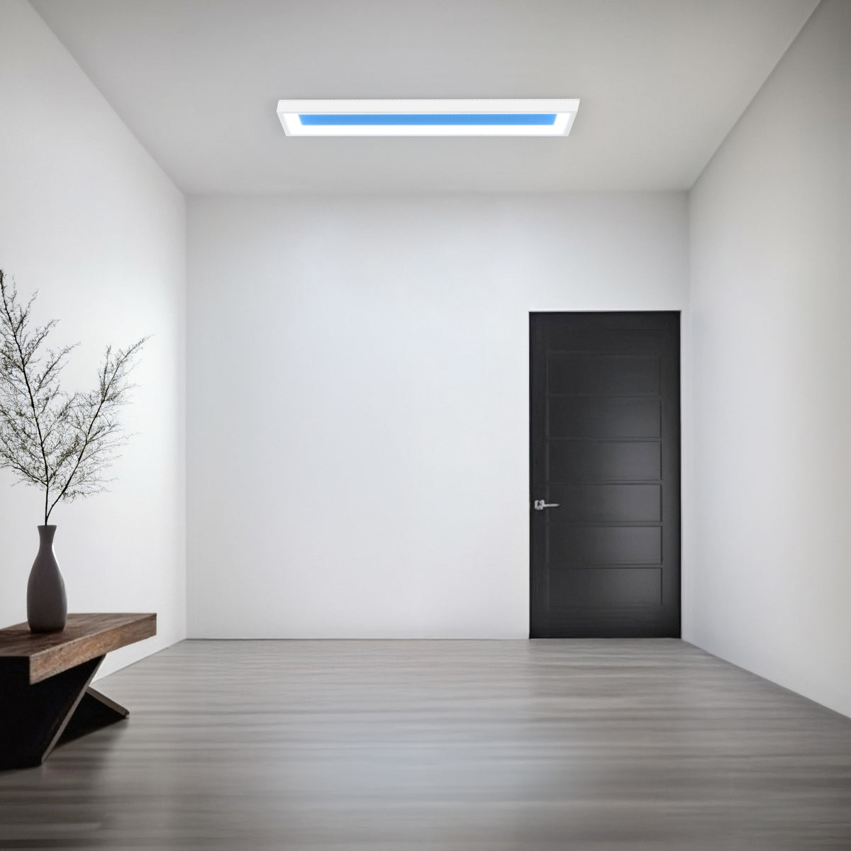 Vista 0.5 ft. x 2 ft. Flat Panel LED Skylight Fixture