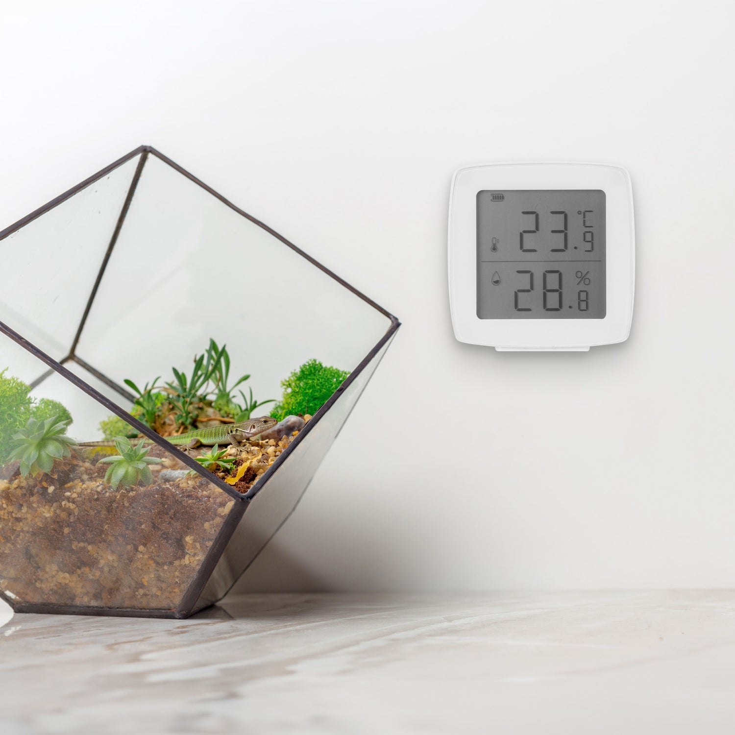 Smart WIFI Temperature & Humidity Sensor