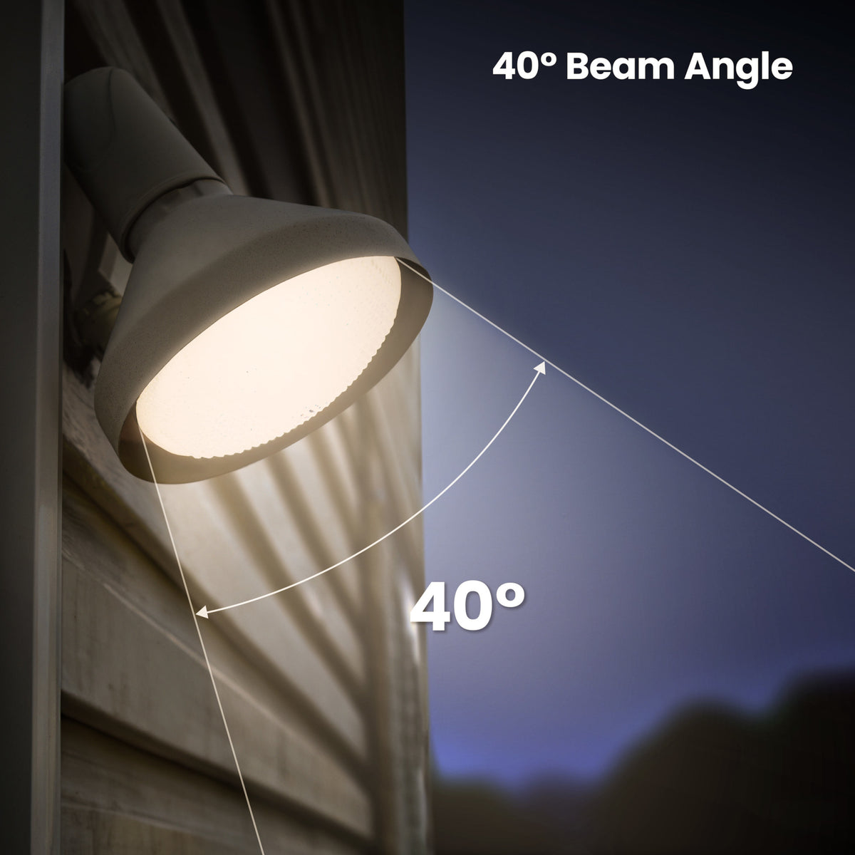 8.3W (75W Replacement) Daylight (5000K) PAR38 E26 Base Reflector LED Light Bulb (4-Pack)