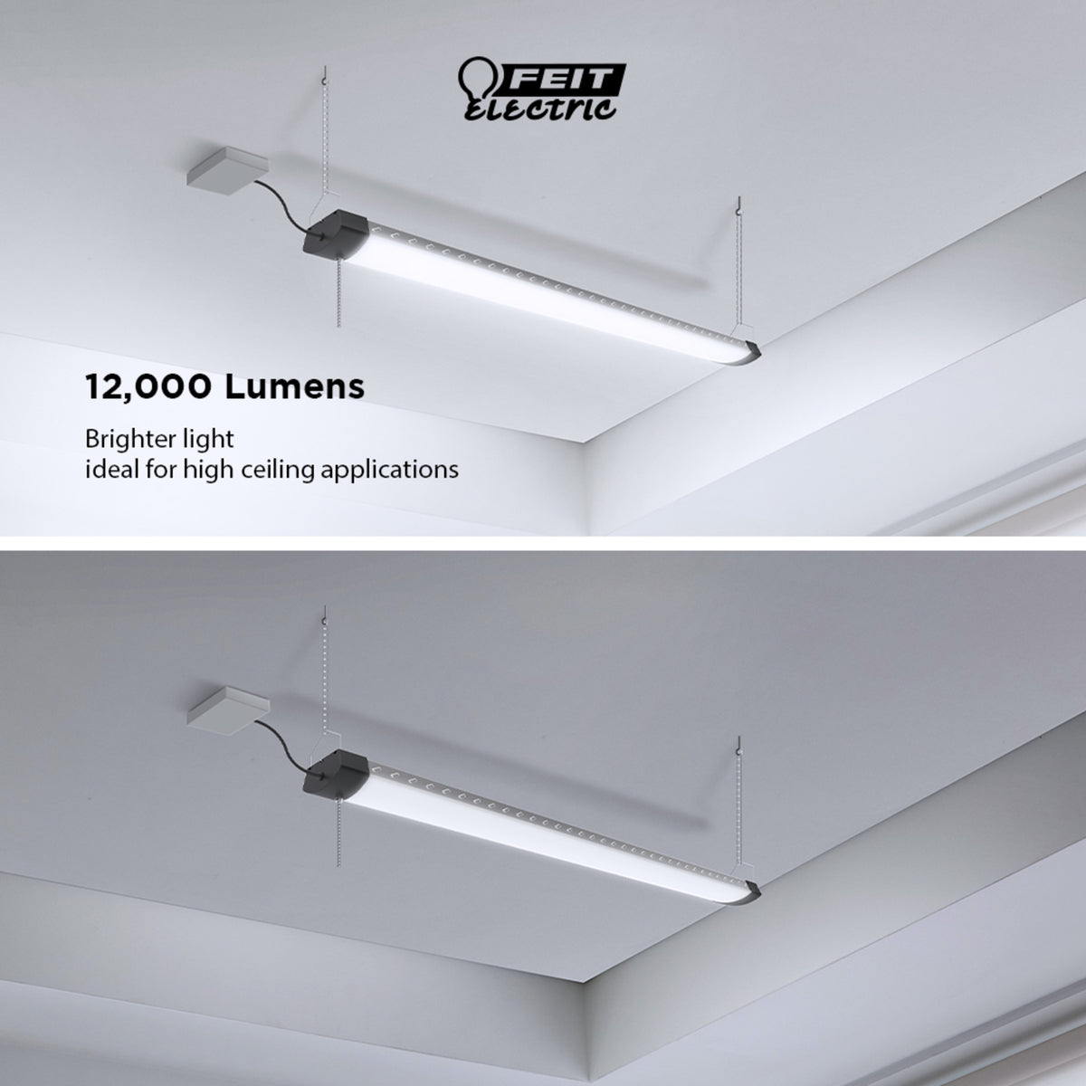 4 ft. 120W Daylight (5000K) High Output LED Shop Light