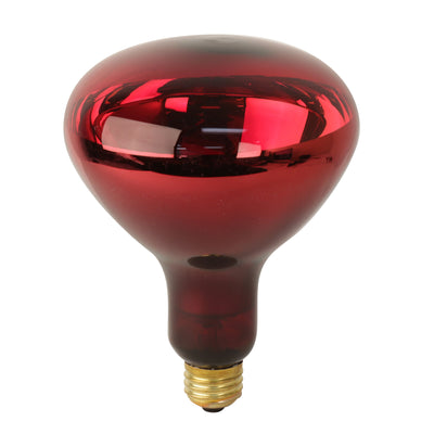 250W Red BR40 Dimmable Incandescent Heat Lamp Reflector with Red Base