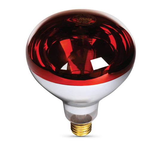250W Red Incandescent R40 Dimmable Heat Lamp Reflector