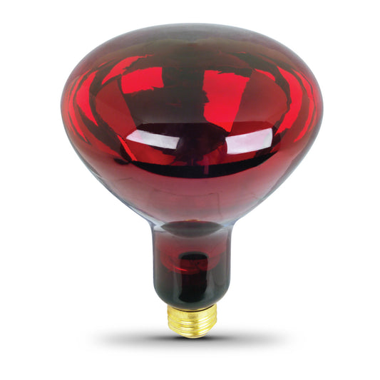 250W Red Incandescent R40 Dimmable Heat Lamp Reflector