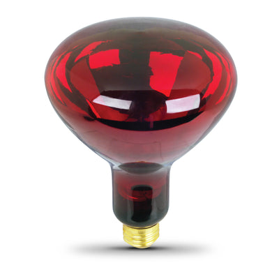 250W Red Incandescent R40 Dimmable Heat Lamp Reflector
